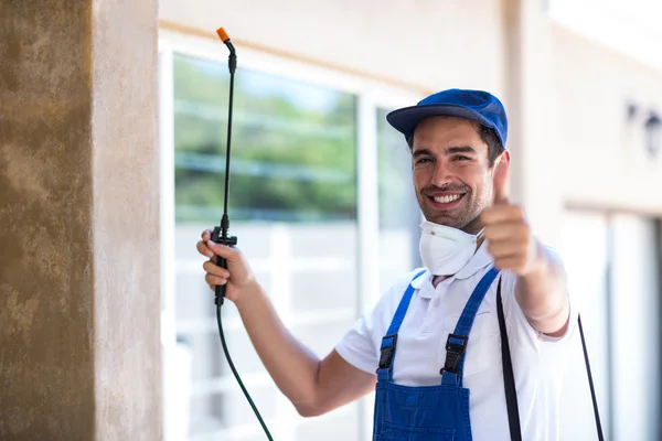 Stephenville Wasp Removal