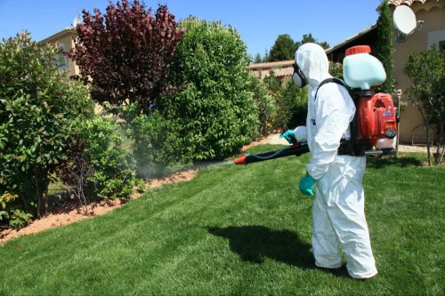 Stephenville Mosquito Control