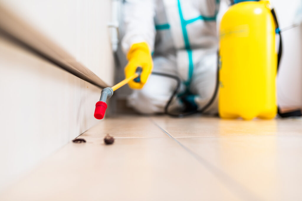 Stephenville Cockroach Experts