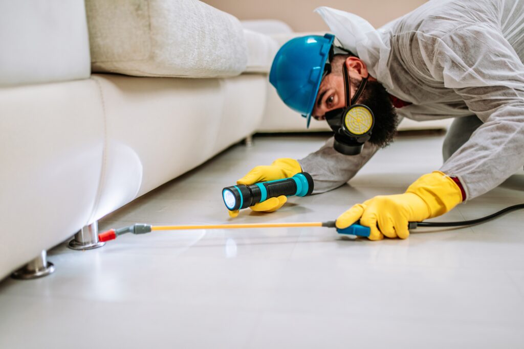 Stephenville Termite Control