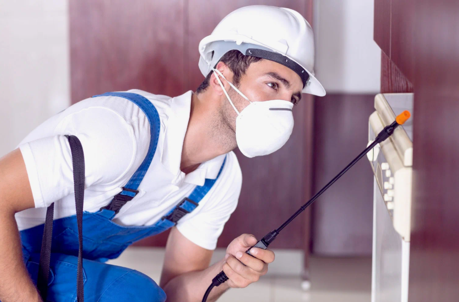 Stephenville local pest services