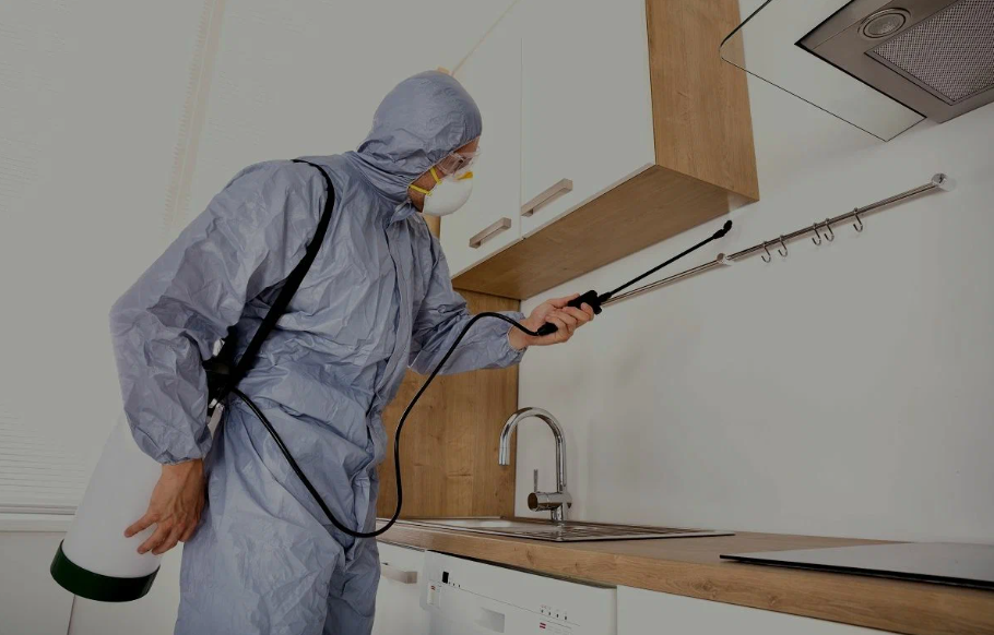 Stephenville pest managment