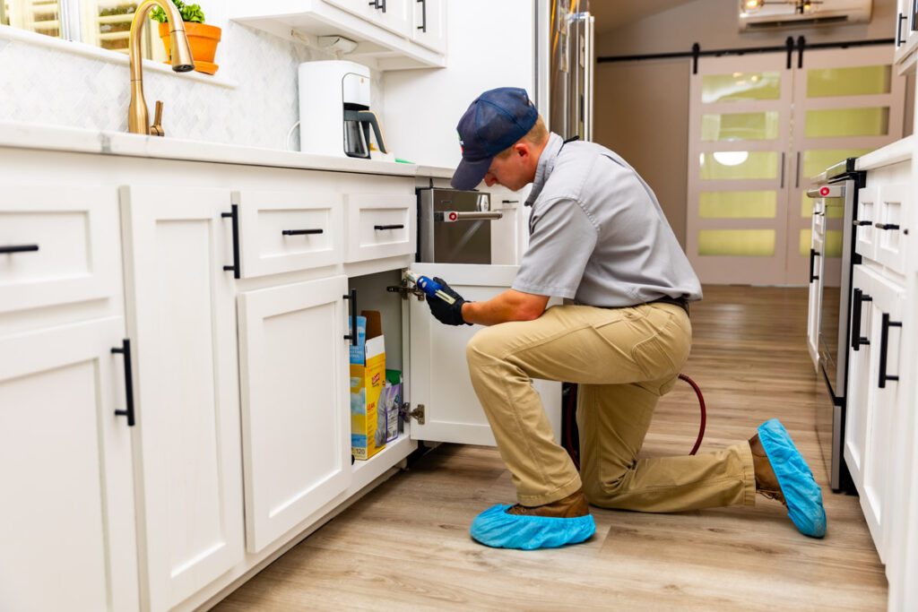 Stephenville xpert pest management